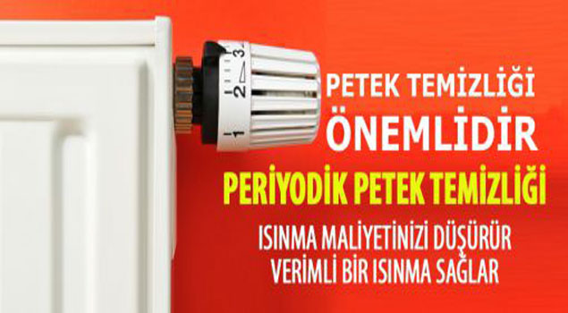 Petekler Ne Sıklıkla Temizlenmeli